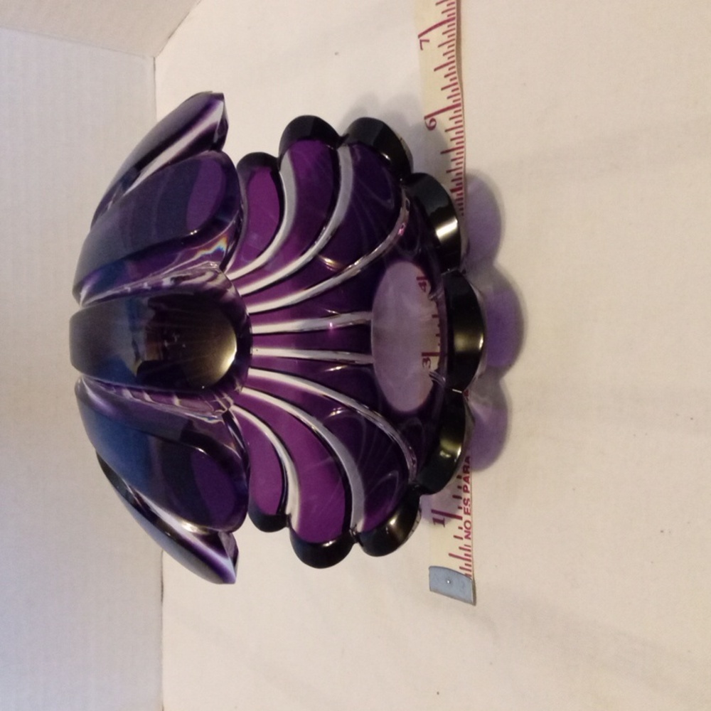 Crystal SeaShell Violet Color - Picture 5 of 5